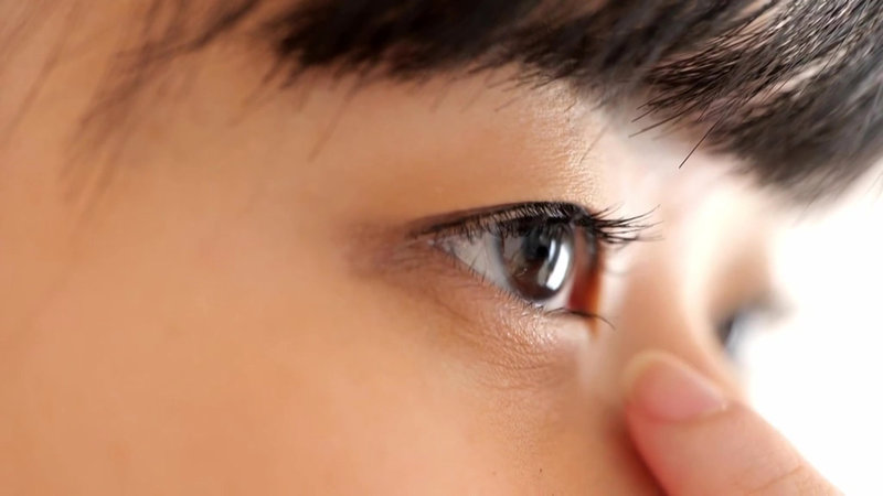 サンプル画像 3