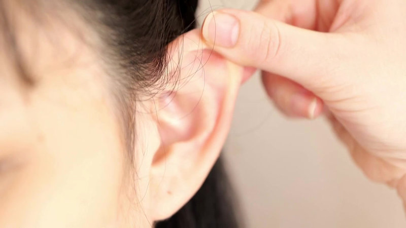 サンプル画像 4