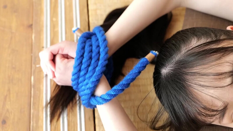 サンプル画像 12