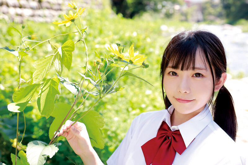 サンプル画像 2