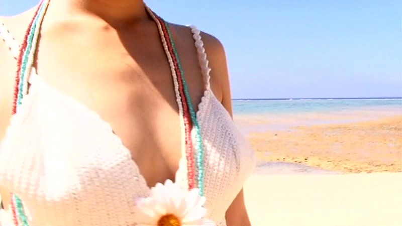 サンプル画像 3