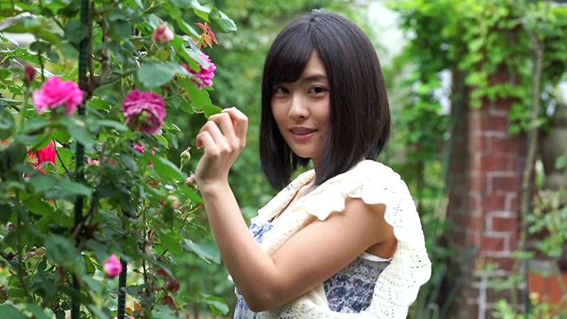 サンプル画像 2