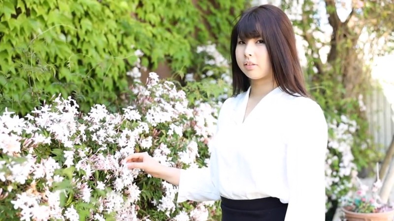 サンプル画像 2