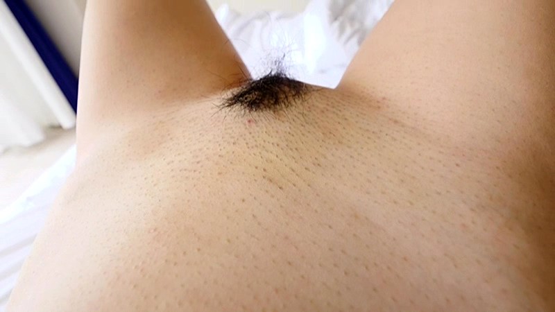 サンプル画像 12