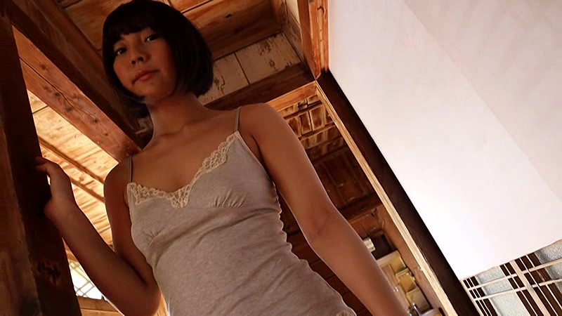 サンプル画像 4