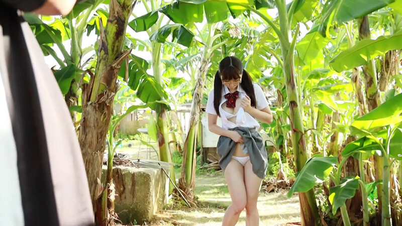 サンプル画像 3