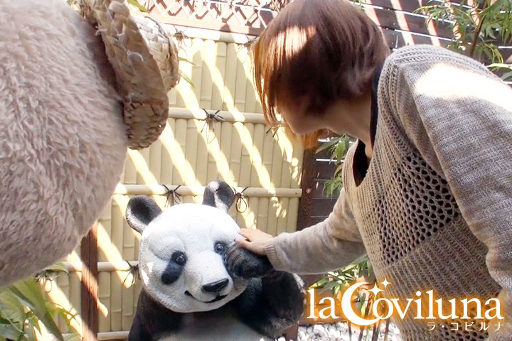 サンプル画像 12