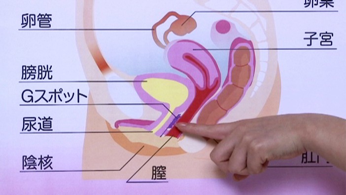 サンプル画像 3