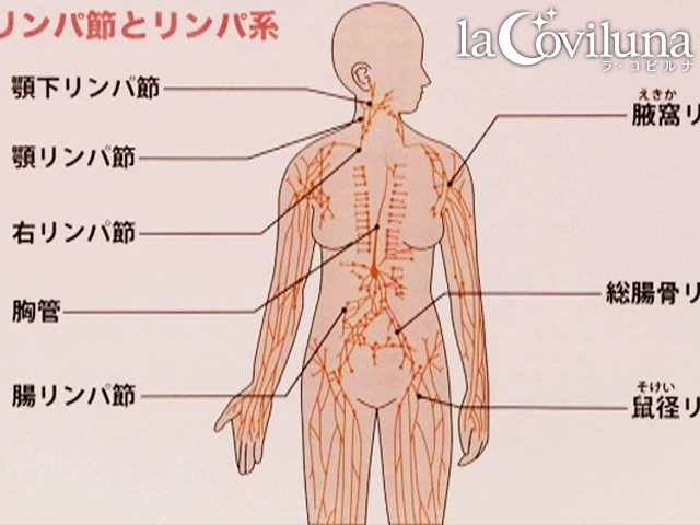 サンプル画像 4