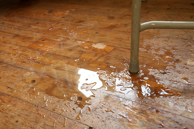 サンプル画像 10