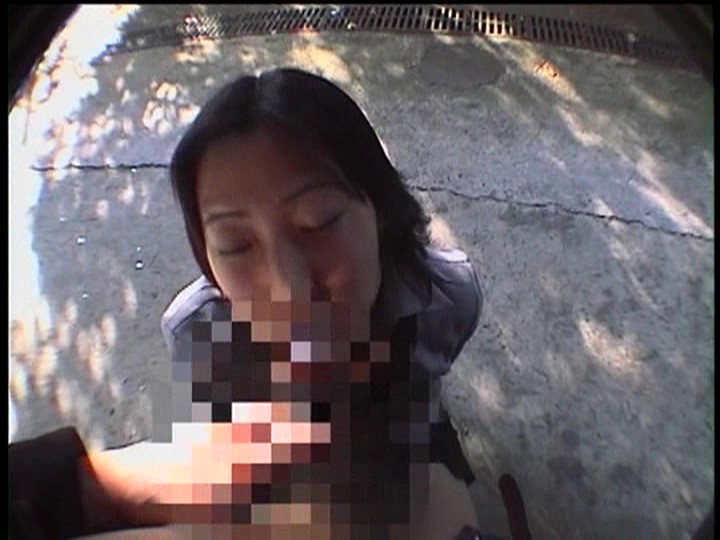 サンプル画像 14