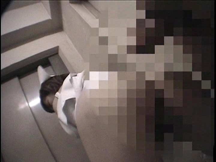 サンプル画像 8