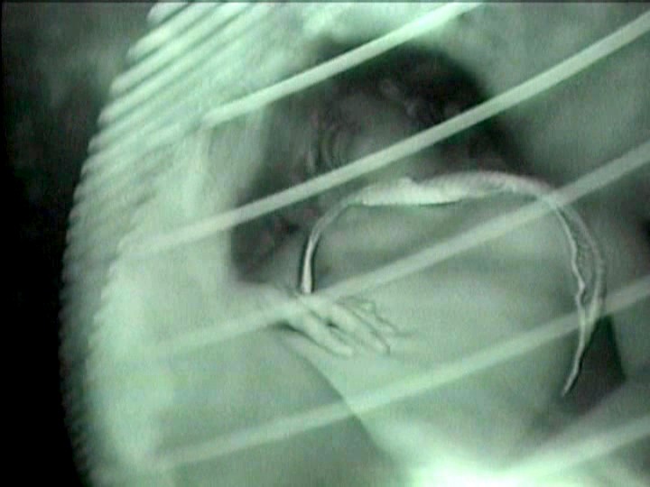 サンプル画像 4