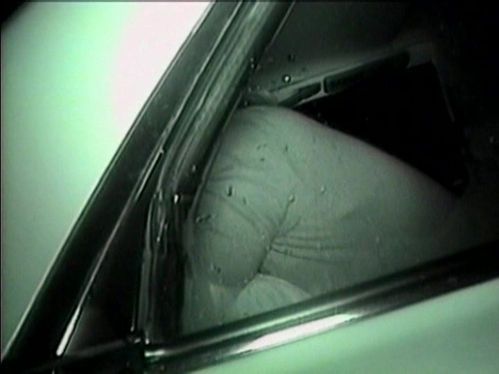 サンプル画像 5