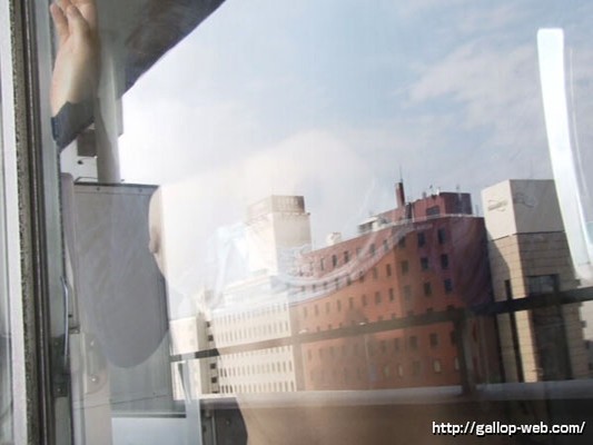 サンプル画像 8