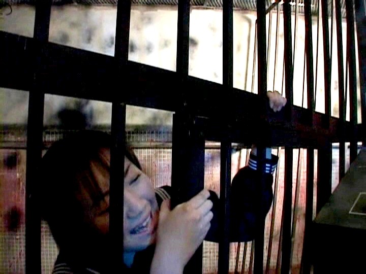 サンプル画像 3