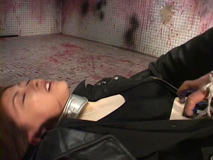 サンプル画像 13