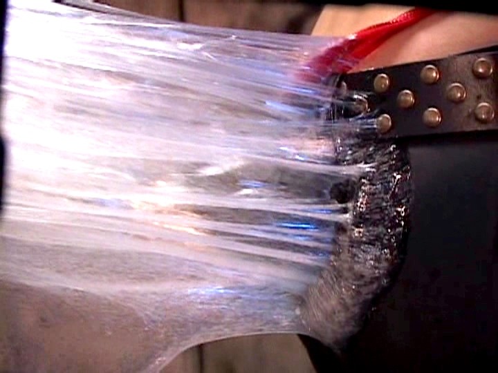 サンプル画像 13