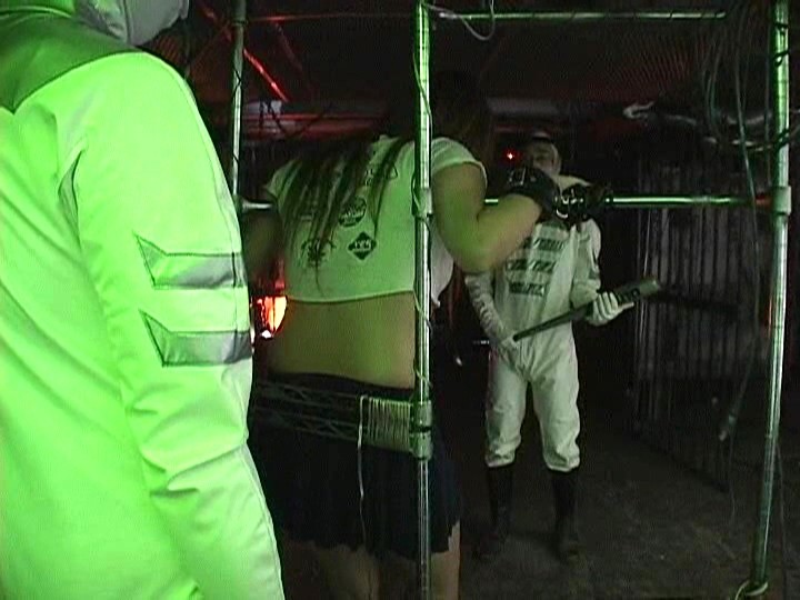 サンプル画像 5