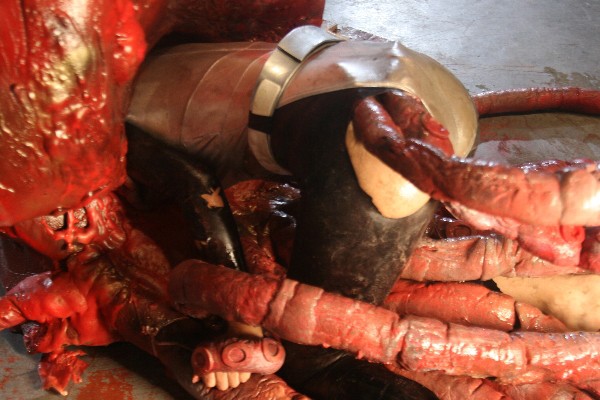 サンプル画像 13