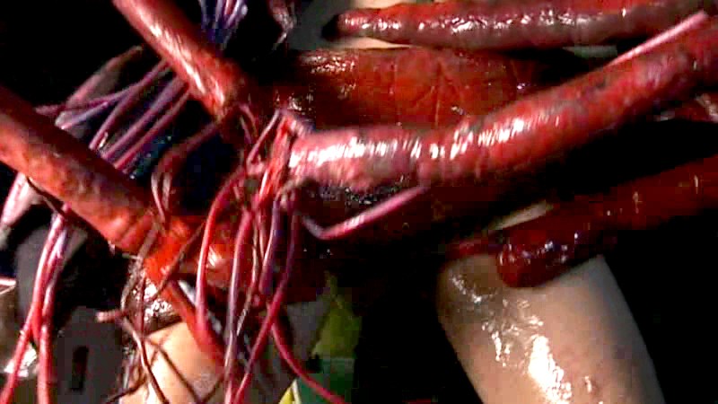 サンプル画像 10