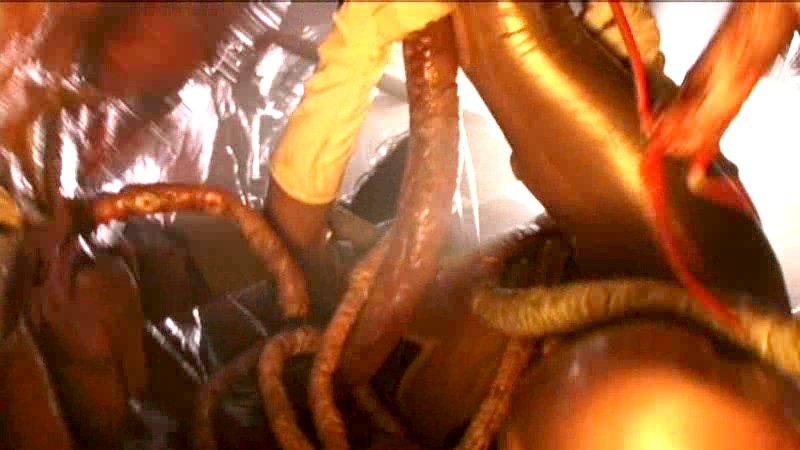 サンプル画像 19