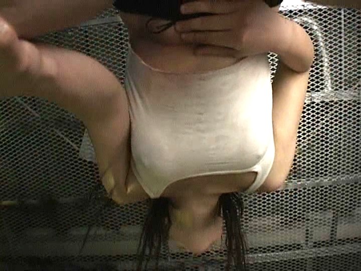 サンプル画像 15