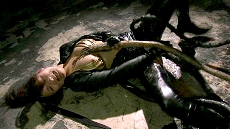 サンプル画像 16