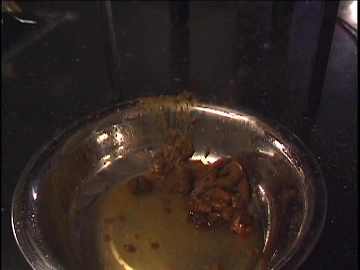 サンプル画像 12