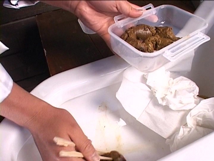 サンプル画像 21