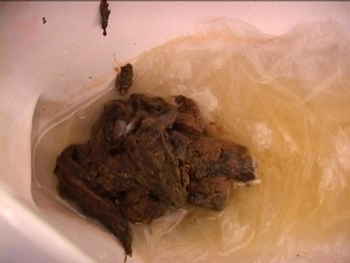 サンプル画像 7