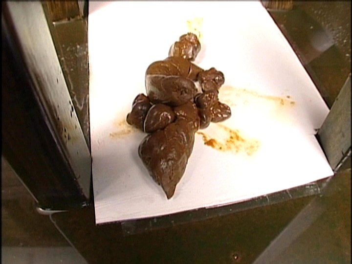 サンプル画像 19