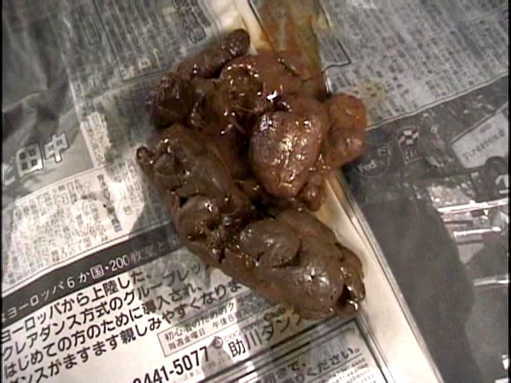 サンプル画像 8