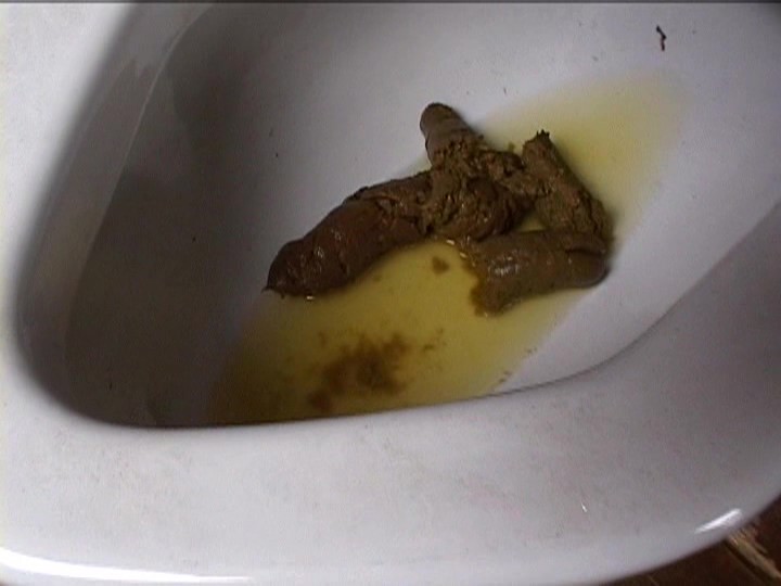 サンプル画像 9