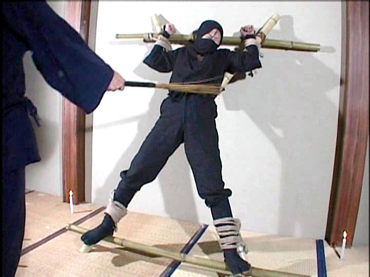 サンプル画像 5