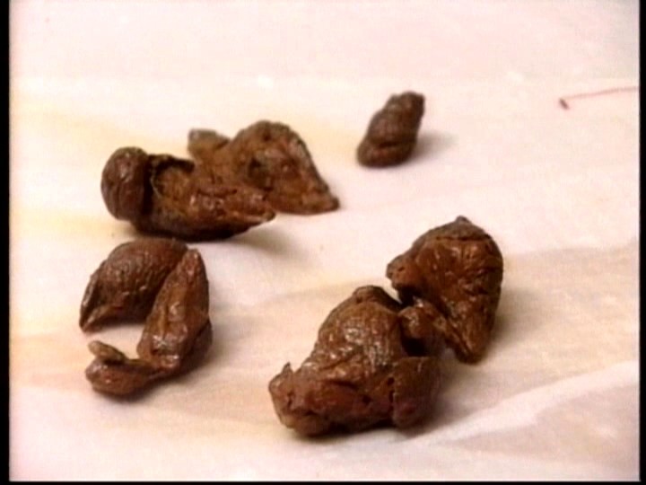 サンプル画像 10