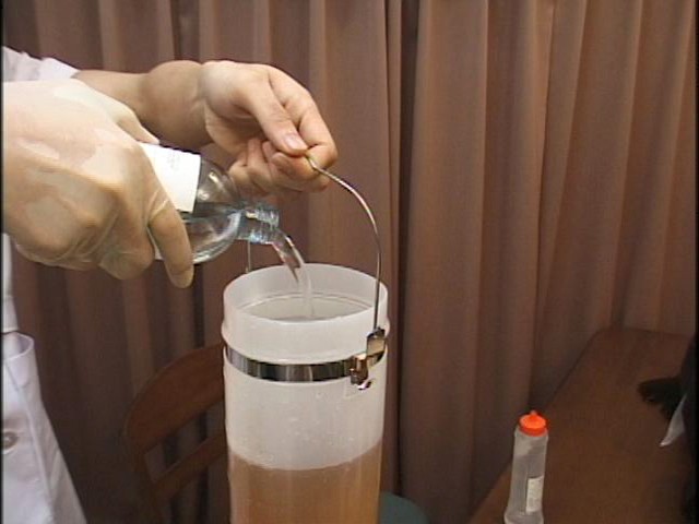 サンプル画像 18