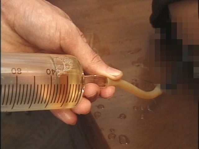 サンプル画像 21