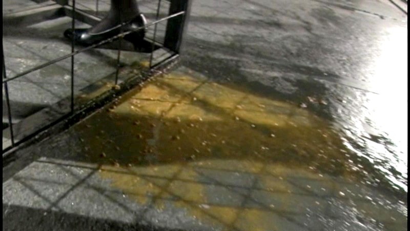 サンプル画像 18