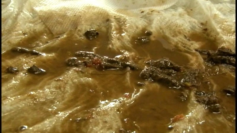 サンプル画像 17