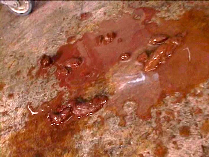 サンプル画像 7