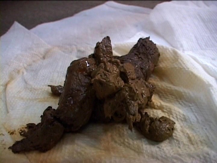 サンプル画像 10