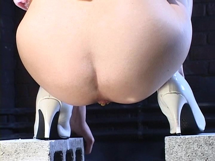 サンプル画像 6