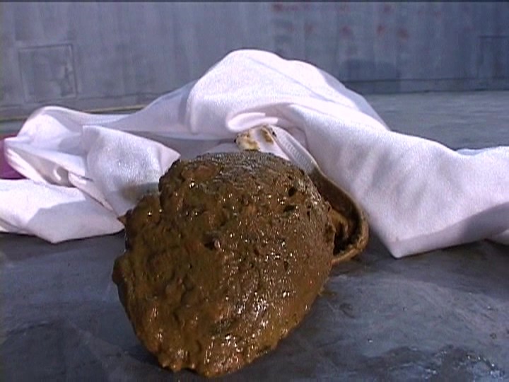 サンプル画像 15