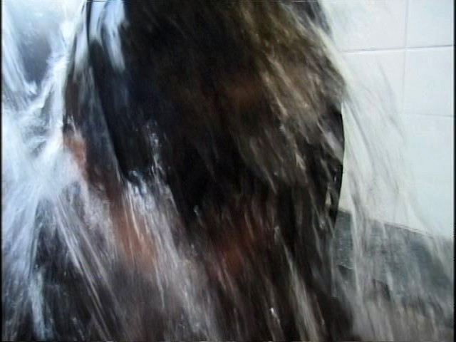 サンプル画像 20