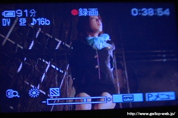 サンプル画像 5