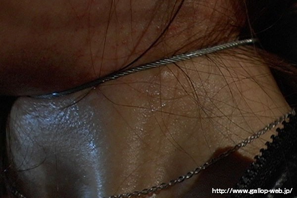 サンプル画像 11