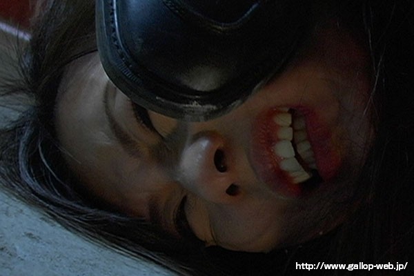 サンプル画像 15