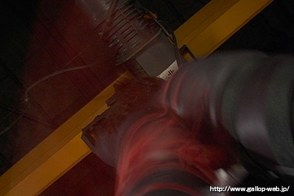 サンプル画像 4