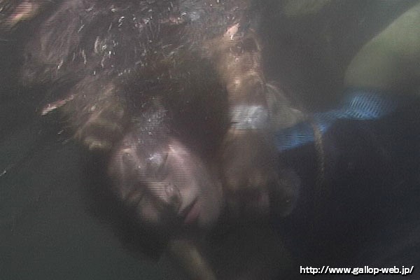 サンプル画像 18